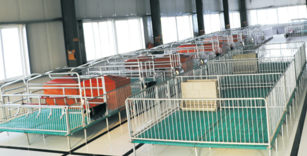 衛輝市益鑫養殖設備有限公司